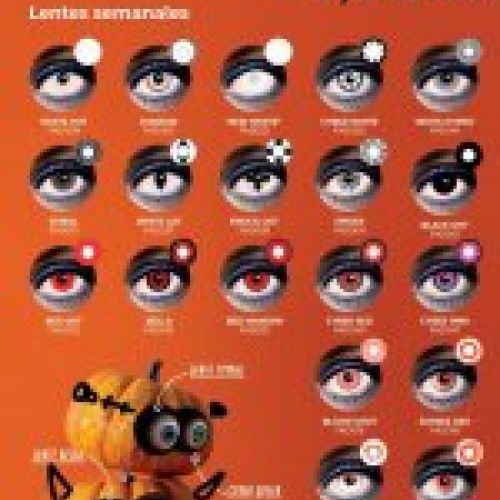 HALLOWEEN 2024